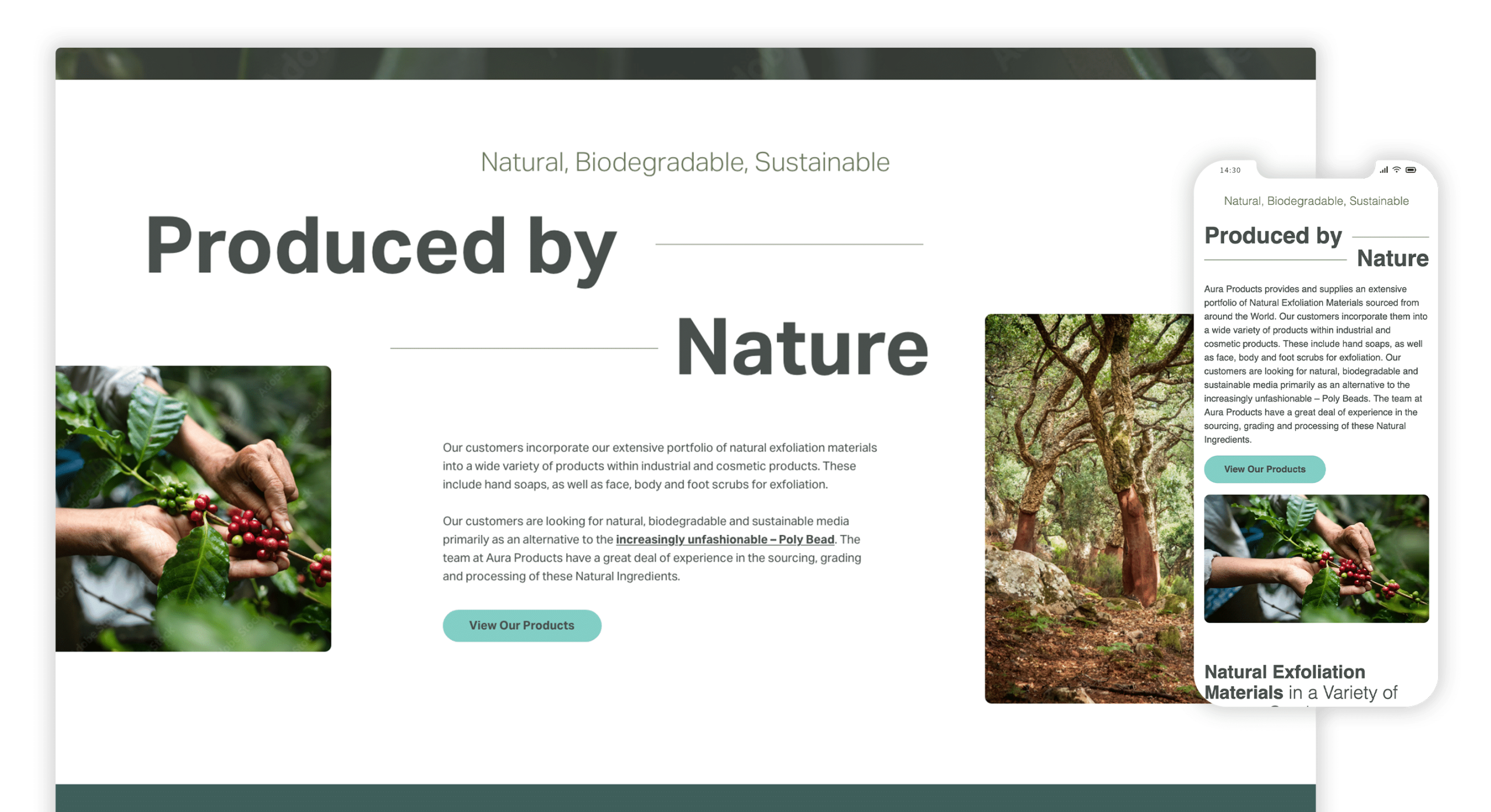 Aura Products website design — desktop and mobile mockup by Web Design Southport